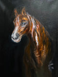 The Horse - Original Oil Painting on Canvas- 12x16 inches